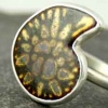 Enamel Ammonite Fossil Ring
