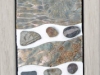 fossil-panels-1