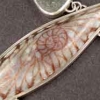 Fossil-Enamel-Pendant - 1
