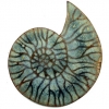 fossil-brooch-3