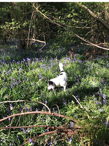 Staff meeting – Fri, 17 April 2020